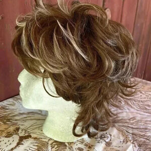 Vintage Wig Layered Mullet Shag Brown & Blonde Frosted Highlights Unisex Costume